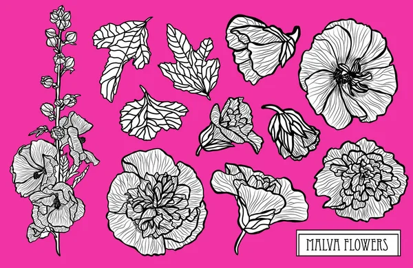 Λουλούδια Διακοσμητικά Malva Σύνολο Σχεδιαστικά Στοιχεία Μπορεί Χρησιμοποιηθεί Για Κάρτες — Διανυσματικό Αρχείο