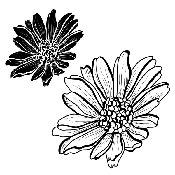 装飾のアスターの花セットは 要素をデザインします カード 招待状 バナー ポスターに使用することができます デザインを印刷します ライン アート スタイルで花の背景 — ストックベクタ