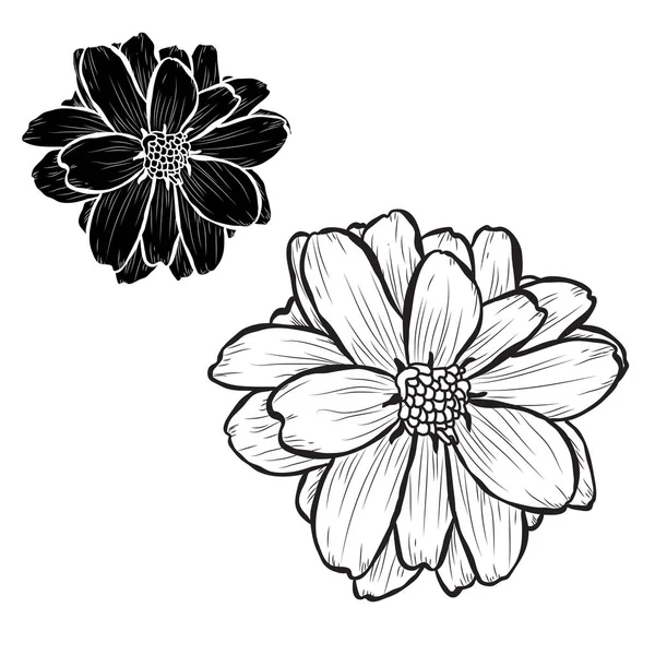 装饰的大丽花花集 设计元素 可用于贺卡 平面设计 线条艺术风格的花卉背景 — 图库矢量图片