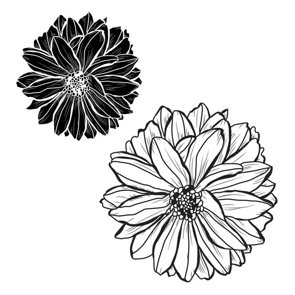 装饰的大丽花花集 设计元素 可用于贺卡 平面设计 线条艺术风格的花卉背景 — 图库矢量图片