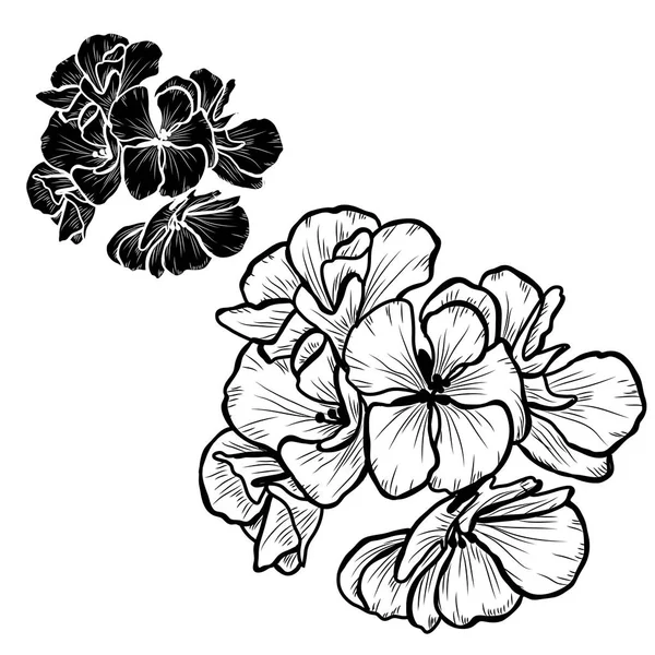 Conjunto Decorativo Flores Geranio Elementos Diseño Puede Utilizar Para Tarjetas — Vector de stock