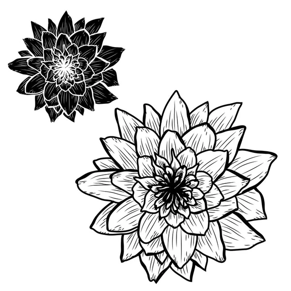 装飾的な蓮の花 デザイン要素 カード 招待状 バナー ポスターに使用することができます デザインを印刷します ライン アート スタイルで花の背景 — ストックベクタ