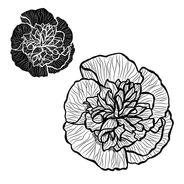 装飾的なウスベニアオイの花セットは 要素をデザインします カード 招待状 バナー ポスターに使用することができます デザインを印刷します ライン アート スタイルで花の背景 — ストックベクタ