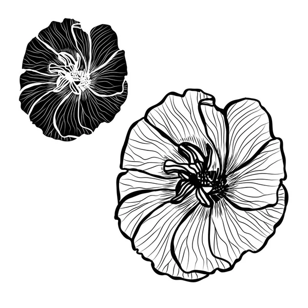 Set Decorativo Flores Malva Elementos Diseño Puede Utilizar Para Tarjetas — Archivo Imágenes Vectoriales