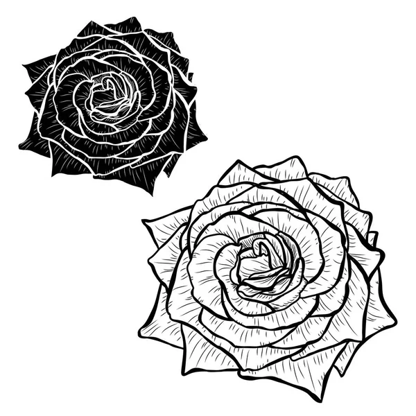装饰玫瑰花套装 设计元素 可用于卡片 打印设计 花卉背景的线条艺术风格 — 图库矢量图片