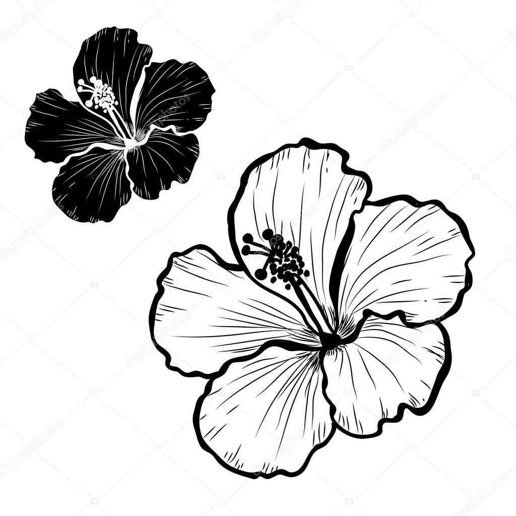 Decorative hibiscus flowers set, design elements. Can be used for cards, invitations, banners, posters, print design. Floral background in line art style