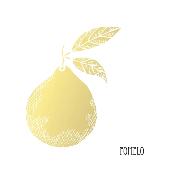 Pomelo Dourado Desenhado Mão Elemento Design Pode Ser Usado Para — Vetor de Stock