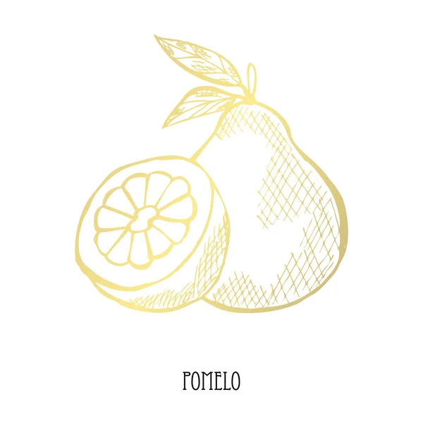 Pomelo Dourado Desenhado Mão Elemento Design Pode Ser Usado Para — Vetor de Stock