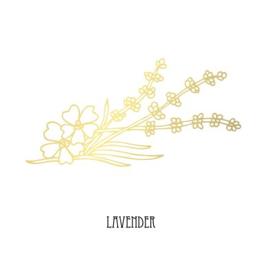 Elle çizilmiş Altın Lavanta, tasarım öğesi. Kullanılabilir kartları, davetiyeler, hediye paketi, baskı, scrapbooking için. Gıda tema. Altın baharat