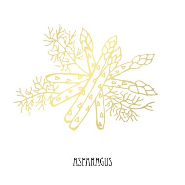 Elle çizilmiş altın kuşkonmaz, tasarım öğesi. Kullanılabilir kartları, davetiyeler, scrapbooking, baskı, kumaş, üretim, gıda Temalar için. Gıda tema. Altın sebze