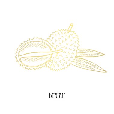 Elle çizilmiş altın durian, tasarım öğesi. Kullanılabilir kartları, davetiyeler, scrapbooking, baskı, kumaş, üretim, gıda Temalar için. Gıda tema. Altın meyve