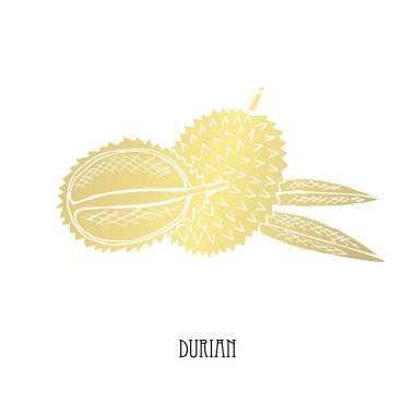 Elle çizilmiş altın durian, tasarım öğesi. Kullanılabilir kartları, davetiyeler, scrapbooking, baskı, kumaş, üretim, gıda Temalar için. Gıda tema. Altın meyve