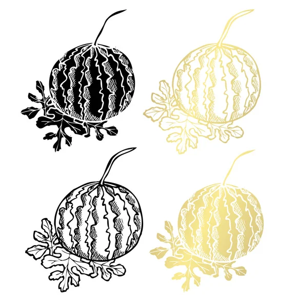 手绘西瓜 设计元素 可用于卡片 剪贴簿 食品主题 金黄果子 — 图库矢量图片