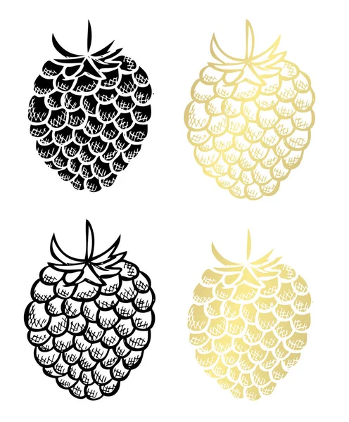 手绘覆盆子 设计元素 可用于卡片 剪贴簿 食品主题 金黄果子 — 图库矢量图片