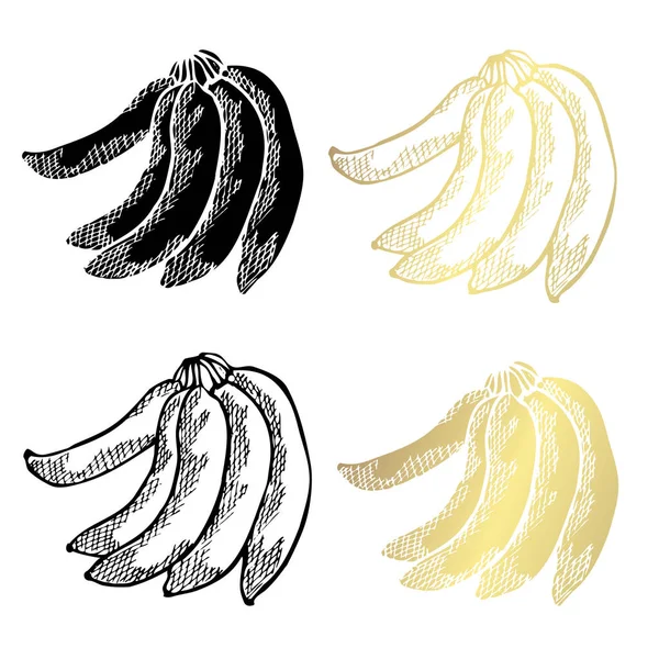手绘香蕉 设计元素 可用于卡片 剪贴簿 食品主题 金黄果子 — 图库矢量图片