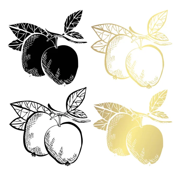手绘苹果 设计元素 可用于卡片 剪贴簿 食品主题 金黄果子 — 图库矢量图片
