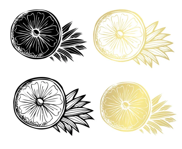 手绘菠萝 设计元素 可用于卡片 剪贴簿 食品主题 金黄果子 — 图库矢量图片