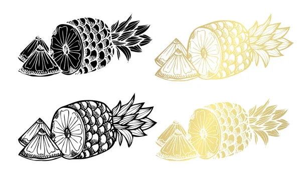 Ananas Dessinés Main Éléments Design Peut Être Utilisé Pour Les — Image vectorielle