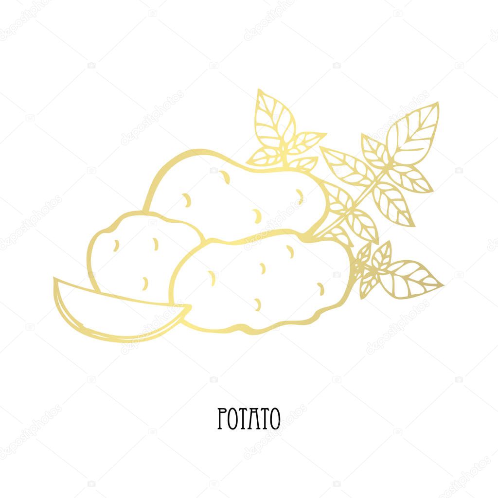 Hand drawn golden potatoes, design elements. Can be used for cards, invitations, scrapbooking, print, fabric, manufacturing, food themes. Food theme. Golden vegetables
