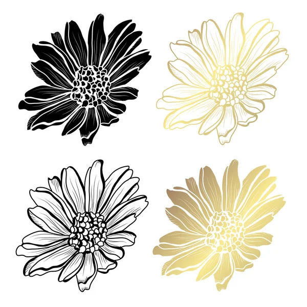 Flores Decorativas Aster Elementos Diseño Puede Utilizar Para Tarjetas Invitaciones — Vector de stock