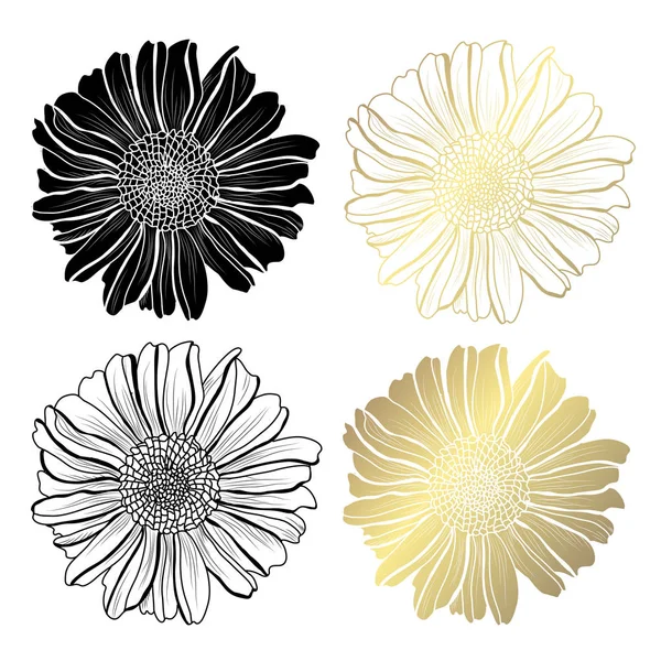 Flores Decorativas Aster Elementos Diseño Puede Utilizar Para Tarjetas Invitaciones — Archivo Imágenes Vectoriales