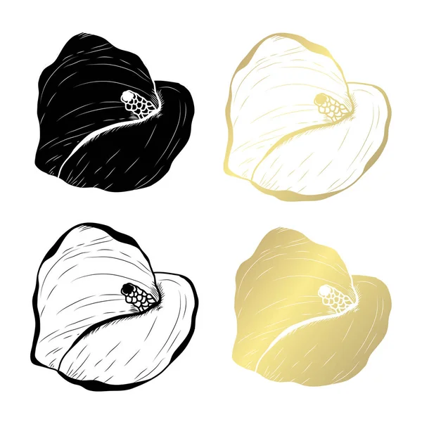 Fleurs Calla Décoratives Éléments Design Peut Être Utilisé Pour Les — Image vectorielle