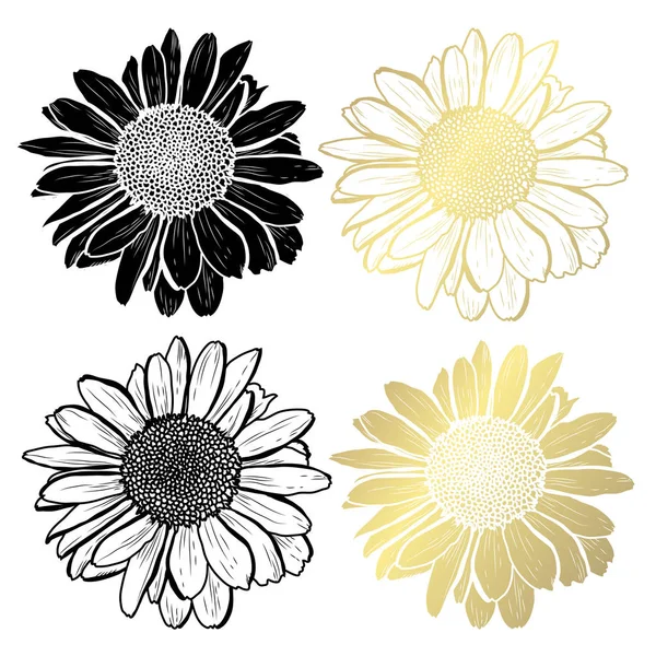 装饰洋甘菊花卉 设计元素 可用于卡片 打印设计 金色花朵 — 图库矢量图片