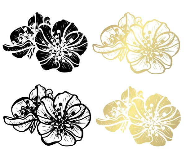Декоративні Квіти Сакури Елементи Дизайну Може Використовуватися Карт Запрошень Банерів — стоковий вектор