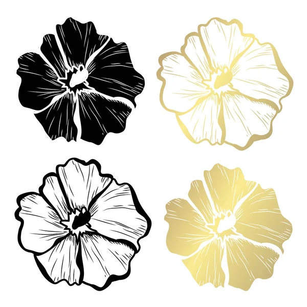 Decoratieve Clematis Bloemen Designelementen Kan Worden Gebruikt Voor Kaarten Uitnodigingen — Stockvector
