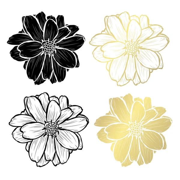 Flores Decorativas Dalia Elementos Diseño Puede Utilizar Para Tarjetas Invitaciones — Vector de stock
