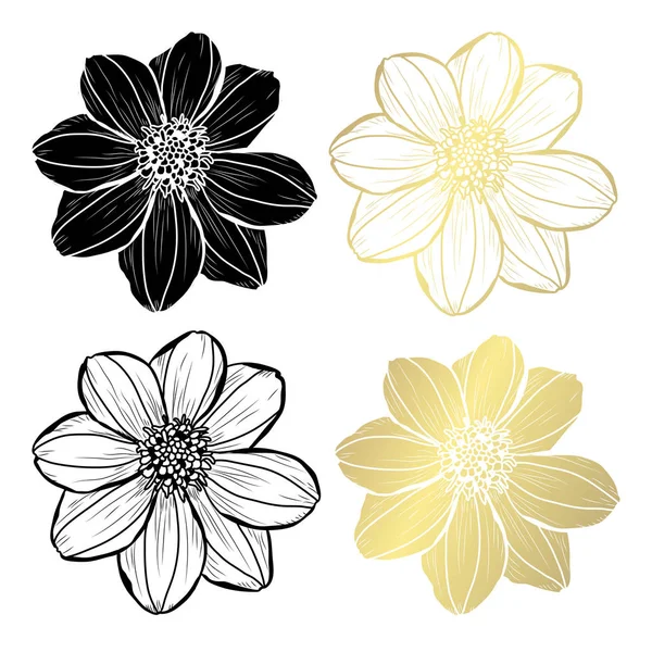 Flores Decorativas Dahlia Elementos Design Pode Ser Usado Para Cartões — Vetor de Stock