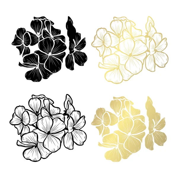 Fleurs Décoratives Géranium Éléments Design Peut Être Utilisé Pour Les — Image vectorielle