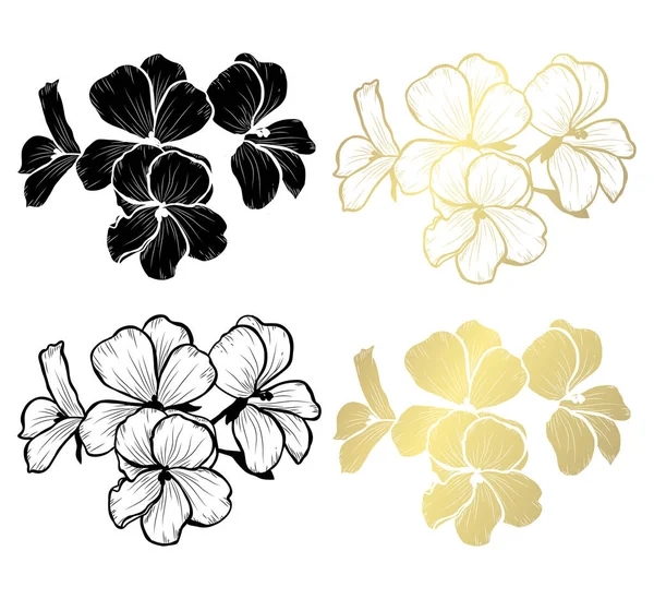 Flores Decorativas Geranio Elementos Diseño Puede Utilizar Para Tarjetas Invitaciones — Vector de stock