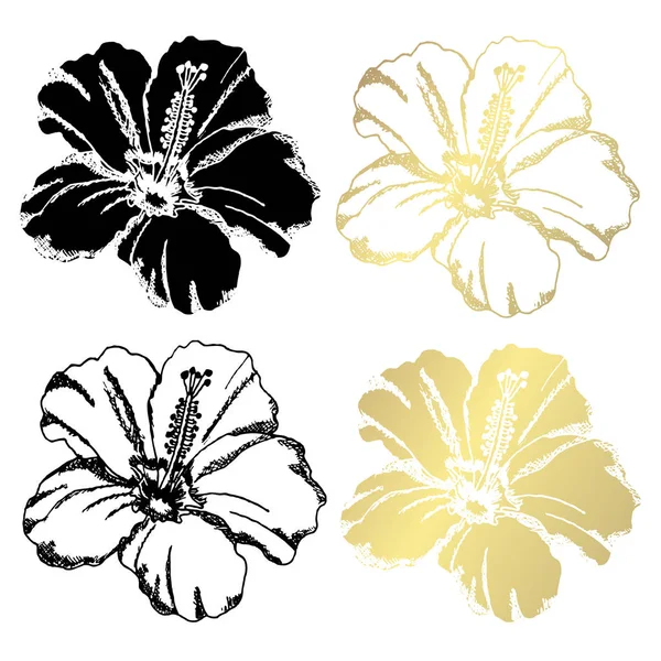 Fleurs Hibiscus Décoratives Éléments Design Peut Être Utilisé Pour Les — Image vectorielle