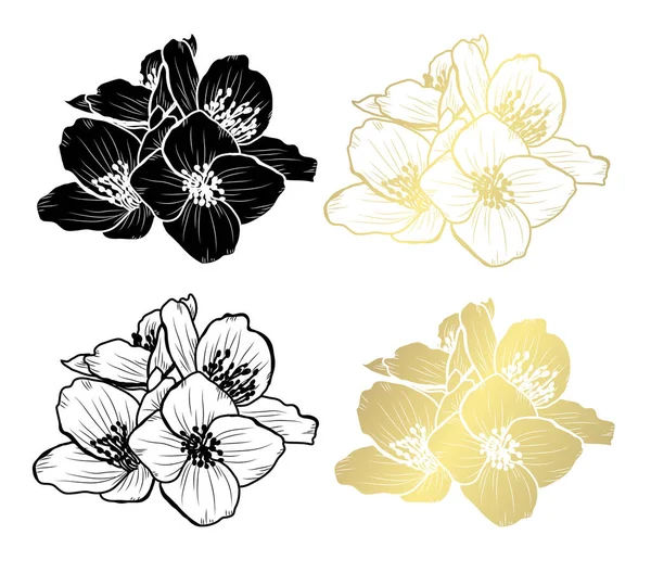 Flores Jasmim Decorativas Elementos Design Pode Ser Usado Para Cartões — Vetor de Stock