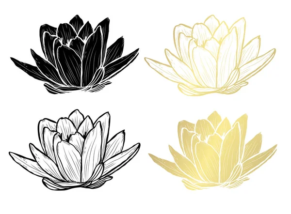 Fleurs Lotus Décoratives Éléments Design Peut Être Utilisé Pour Les — Image vectorielle