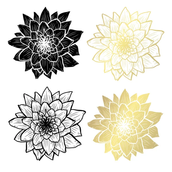Dekorativní Lotosové Květy Designovými Prvky Lze Použít Pro Karty Pozvánky — Stockový vektor
