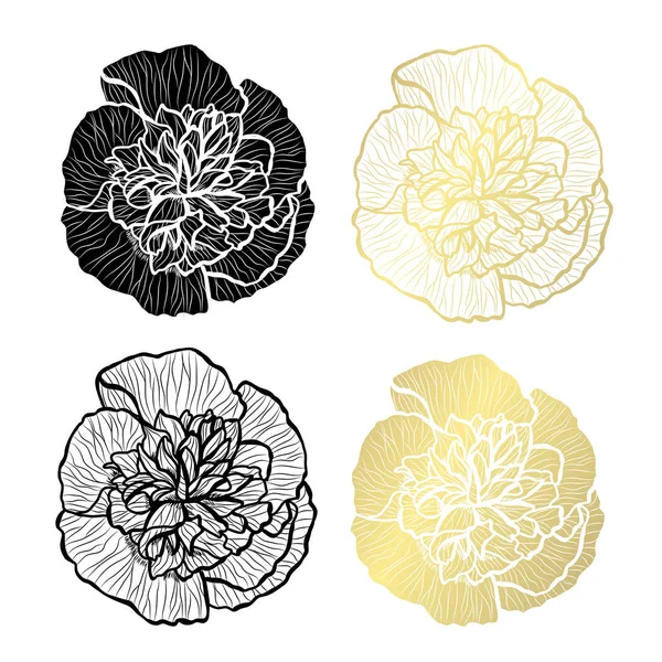 Fleurs Décoratives Malva Éléments Design Peut Être Utilisé Pour Les — Image vectorielle