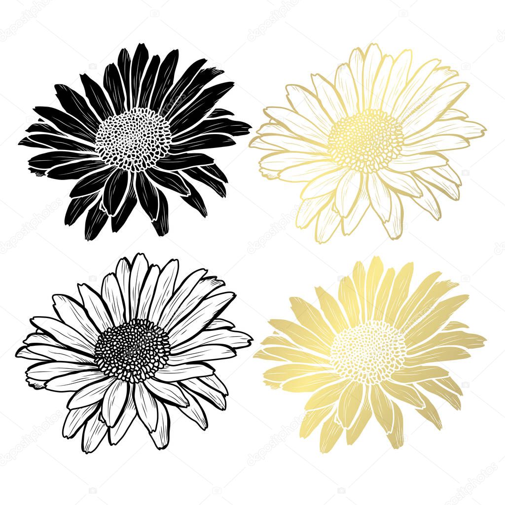 Decorative chamomile flowers, design elements. Can be used for cards, invitations, banners, posters, print design. Golden flowers