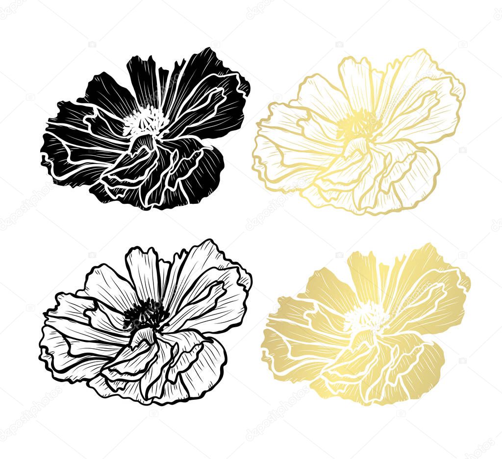 Decorative poppy  flowers, design elements. Can be used for cards, invitations, banners, posters, print design. Golden flowers
