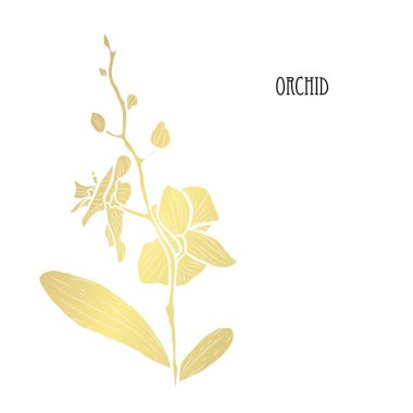 Dekoratif orkide çiçek, tasarım öğesi. Tasarımını yazdırma, kartları, davetiyeleri, afişler, posterler için kullanılabilir. Altın çiçek