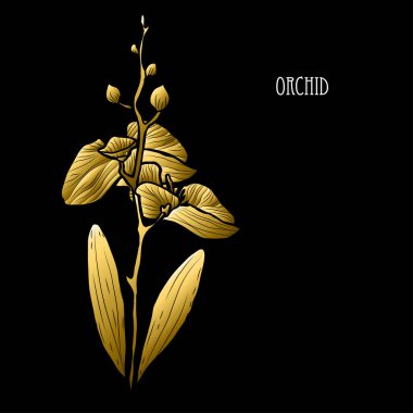 Dekoratif orkide çiçek, tasarım öğesi. Tasarımını yazdırma, kartları, davetiyeleri, afişler, posterler için kullanılabilir. Altın çiçek