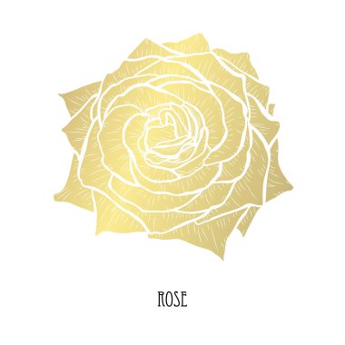 Dekoratif gül çiçek, tasarım öğesi. Tasarımını yazdırma, kartları, davetiyeleri, afişler, posterler için kullanılabilir. Altın çiçek