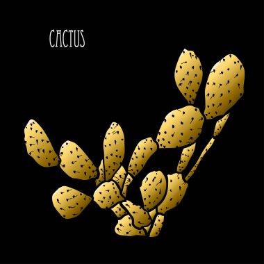Dekoratif kaktüs bitkisi, tasarım öğesi. Tasarımını yazdırma, kartları, davetiyeleri, afişler, posterler için kullanılabilir. Altın succulents