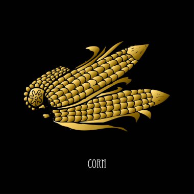 Elle çizilmiş altın Mısır, tasarım öğesi. Kullanılabilir kartları, davetiyeler, scrapbooking, baskı, kumaş, üretim, gıda Temalar için. Gıda tema. Altın sebze