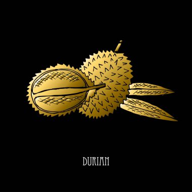 Elle çizilmiş altın durian, tasarım öğesi. Kullanılabilir kartları, davetiyeler, scrapbooking, baskı, kumaş, üretim, gıda Temalar için. Gıda tema. Altın meyve