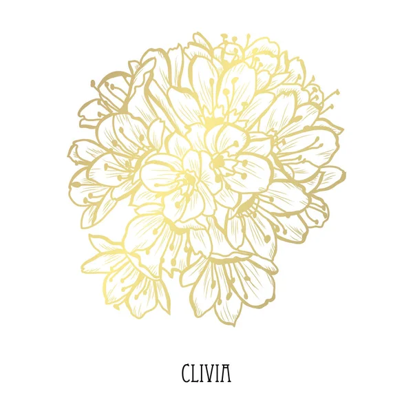 Fleurs Clivia Décoratives Éléments Design Peut Être Utilisé Pour Les — Image vectorielle