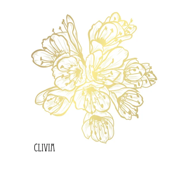Dekoratif Clivia Çiçekler Tasarım Öğeleri Tasarımını Yazdırma Kartları Davetiyeleri Afişler — Stok Vektör
