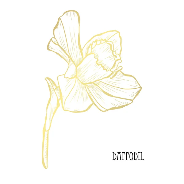 Dekorativní Květina Narcis Designový Prvek Lze Použít Pro Karty Pozvánky — Stockový vektor