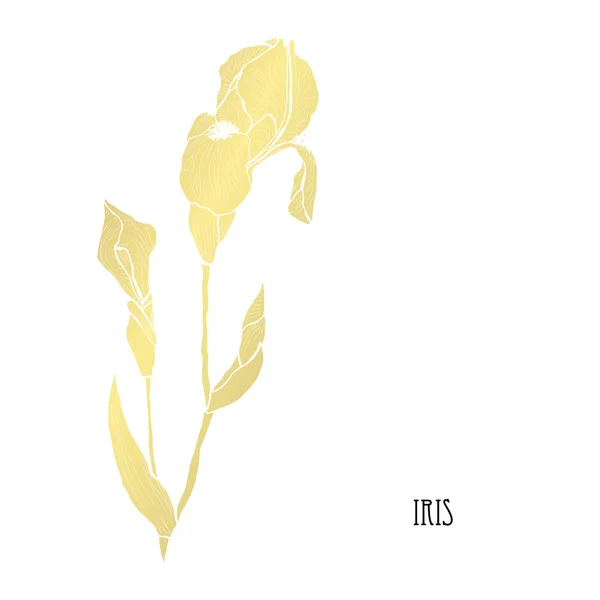 装饰虹膜花 设计元素 可用于卡片 打印设计 金色花朵 — 图库矢量图片